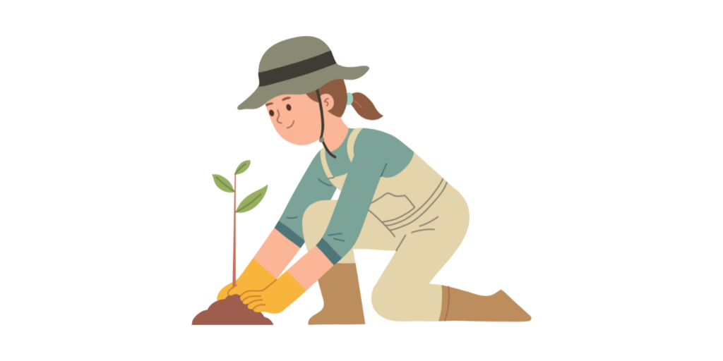 Planting A Plant